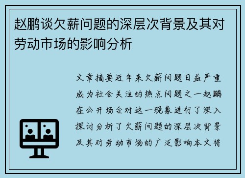 赵鹏谈欠薪问题的深层次背景及其对劳动市场的影响分析